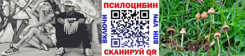 Псилоцибиновые грибы GOLDEN TEACHER  Емва 