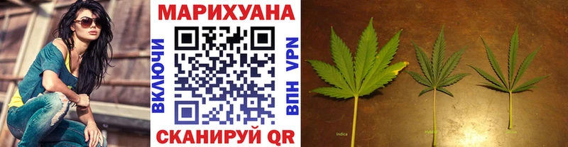 сайты даркнета телеграм Емва Бошки Шишки SATIVA & INDICA